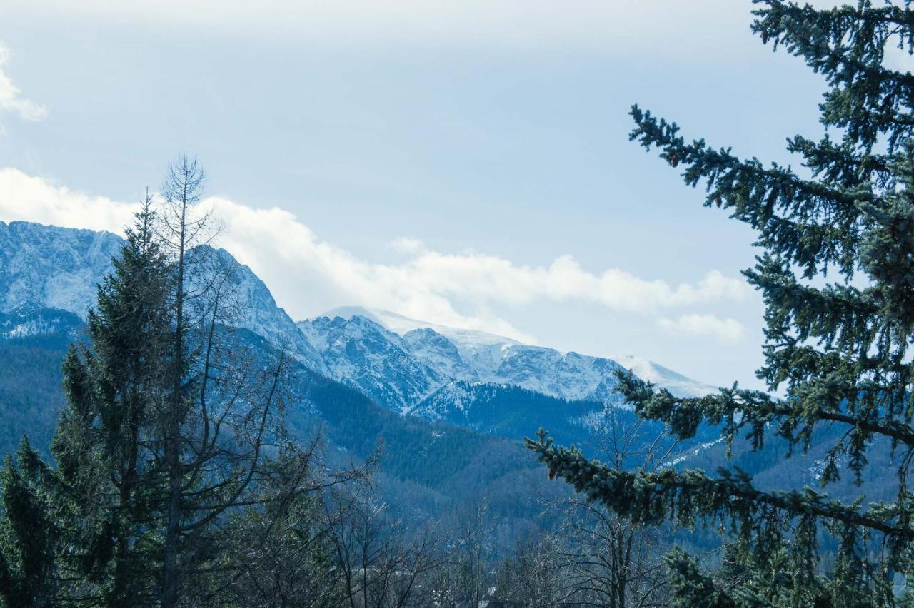 Aparthotel Delta Zakopane Esterno foto